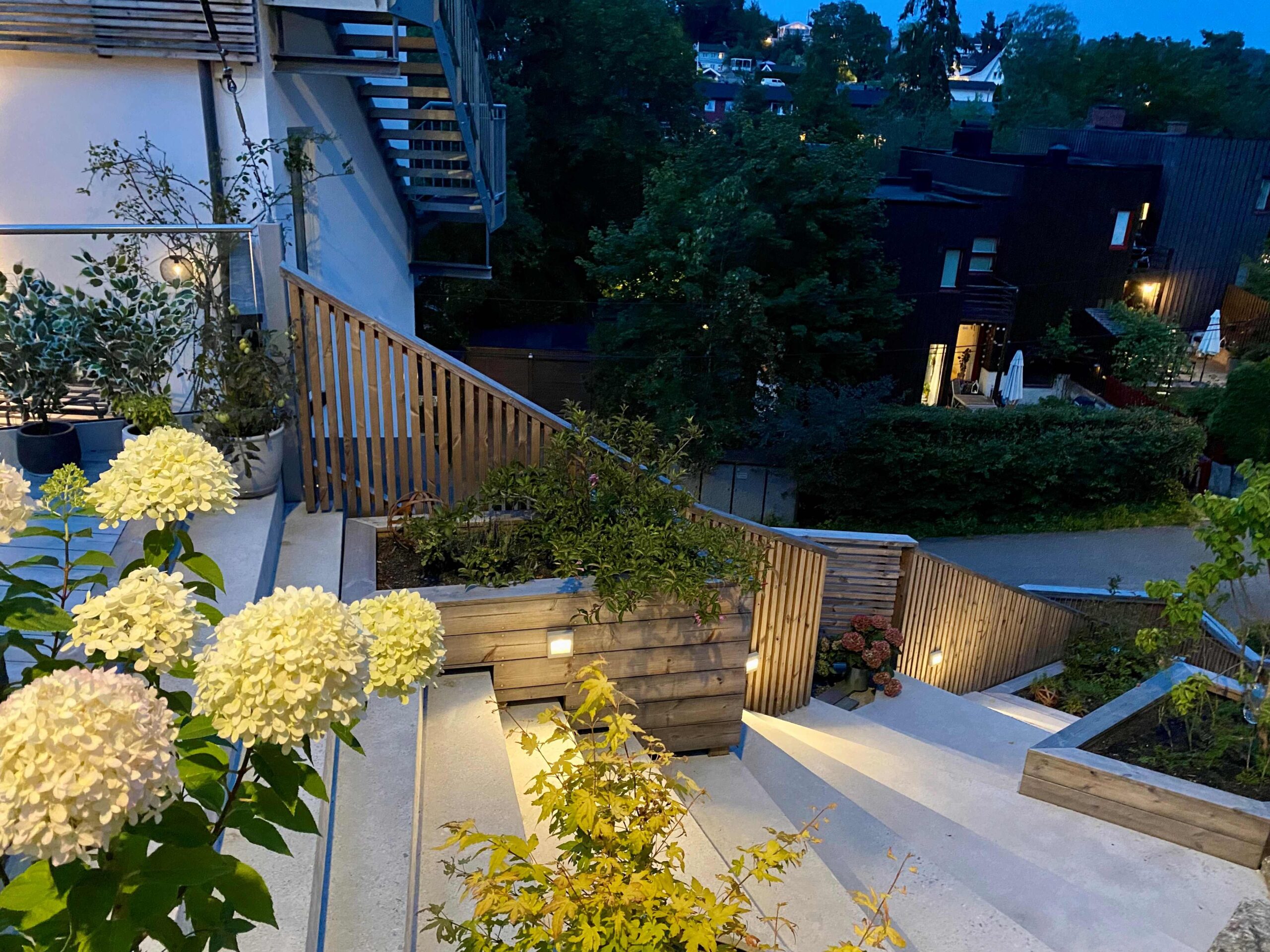 image_50436097